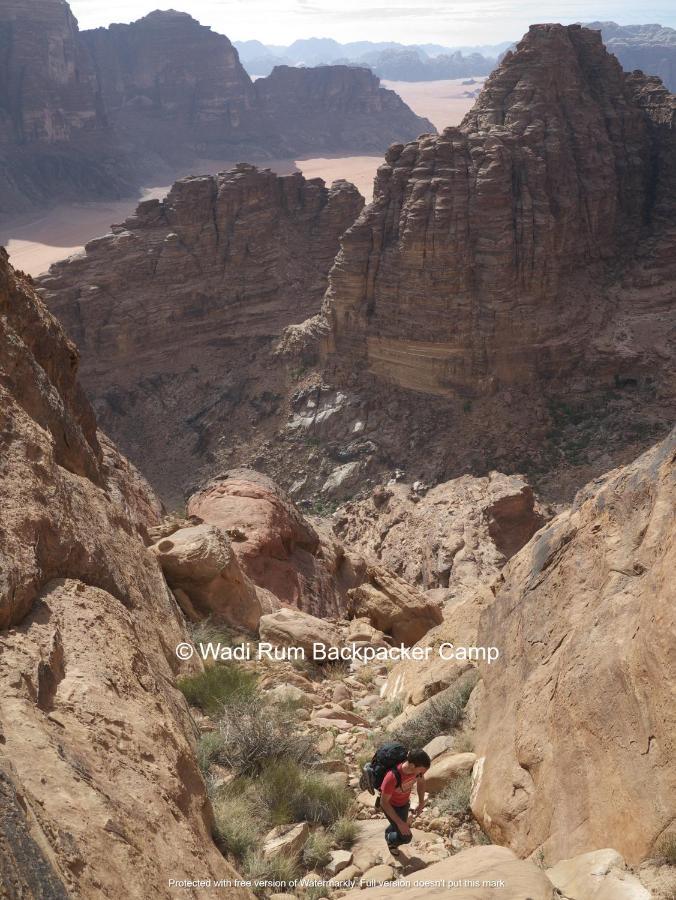 Wadi Rum Backpacker Camp ภายนอก รูปภาพ